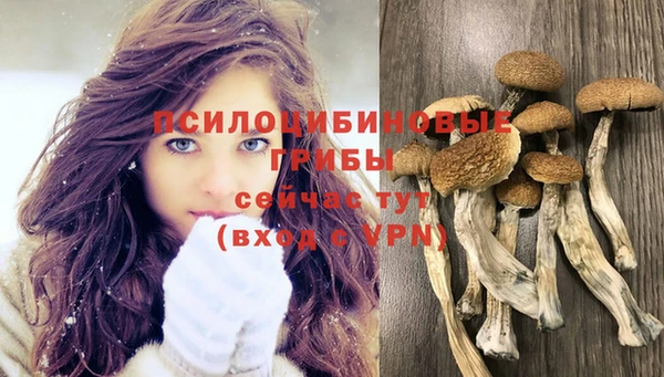 apvp Алексеевка